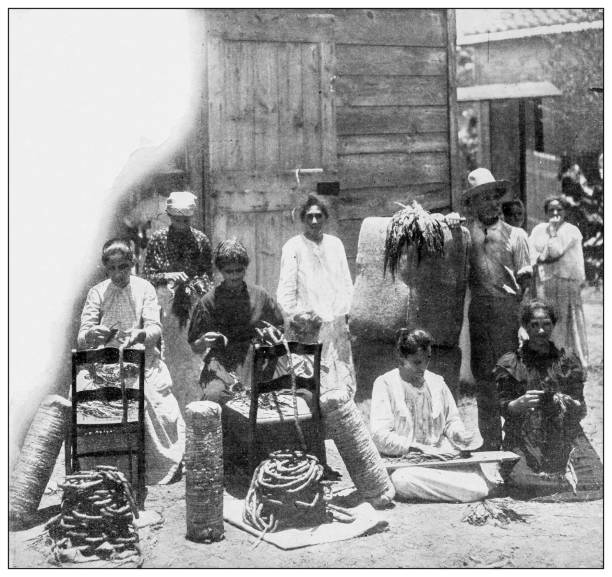 Antique black and white photograph: Manufacturing chewing tobacco in Sabana Grande, Puerto Rico Antique black and white photograph of people from islands in the Caribbean and in the Pacific Ocean; Cuba, Hawaii, Philippines and others: Manufacturing chewing tobacco in Sabana Grande, Puerto Rico chewing tobacco stock illustrations