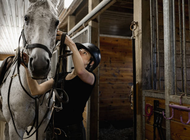 istock Young female trainer prepping her horse 1326466696