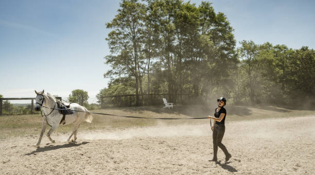 istock Young female trainer exercising her horse 1326466895
