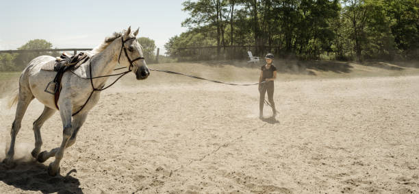 istock Young female trainer exercising her horse 1326467431