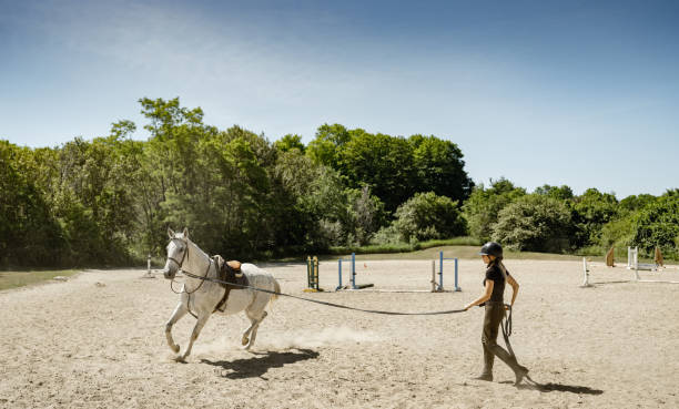 istock Young female trainer exercising her horse 1326467699