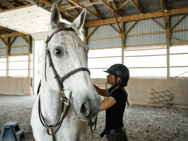 istock Young female trainer prepping her horse 1326467850