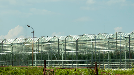 huge glass greenhouses of the agro-industrial complex against the blue sky