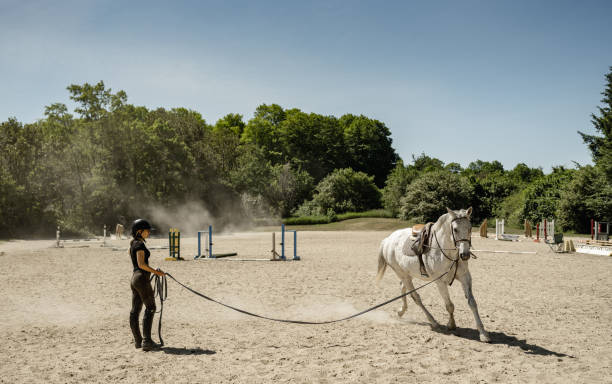 istock Young female trainer exercising her horse 1326469184