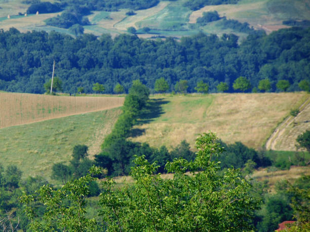 istock landscape in the summer - Maramures 1326469928