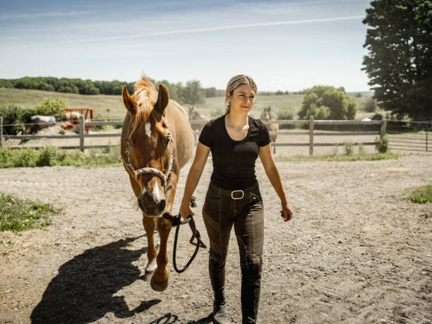 istock Young female trainer with her horse 1326471590