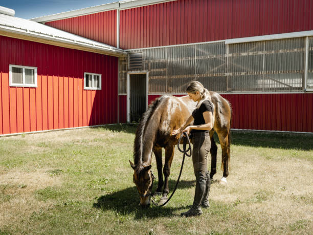 istock Young female trainer enjoying her horse 1326471649