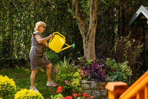 istock Woman working in her garden with a plants. 1326473672