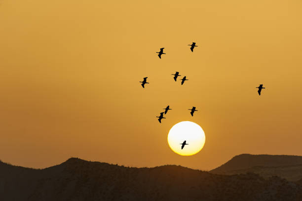 istock Sunrise over the mountains 1326476212