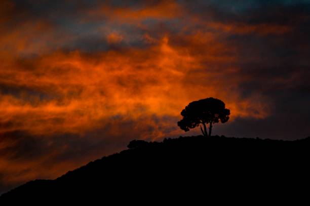 Sunrise over the mountains
