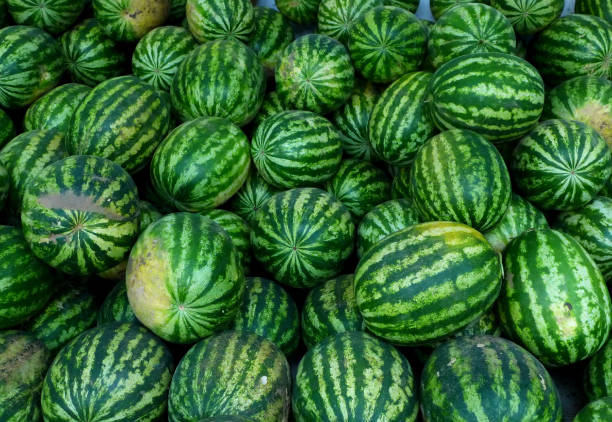 istock Watermelon in stocks of Tunis 1326478123