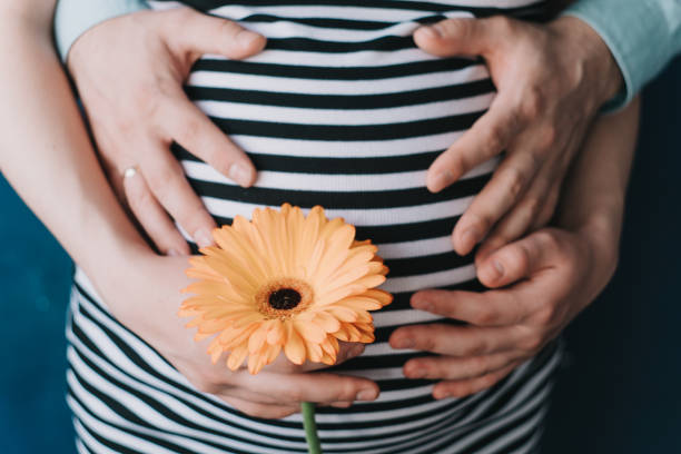 belly pregnant girls close up of future parents holding belly with orange flower, waiting for the birth of the baby - love hanging indoors studio shot imagens e fotografias de stock