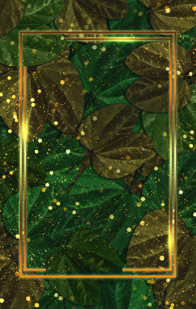 istock leaf background golden frame and bokeh droplets 3D illustration 1326481448