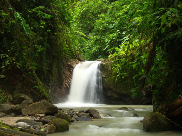 Slow motion of waterfall and river in forest Podocarpus National Park, Ecuador. stock photo