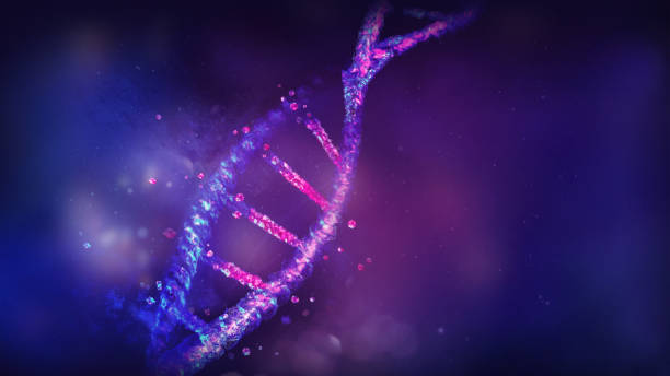 istock Damaged DNA double helix in violet blue colors, 3D render. 1326483924