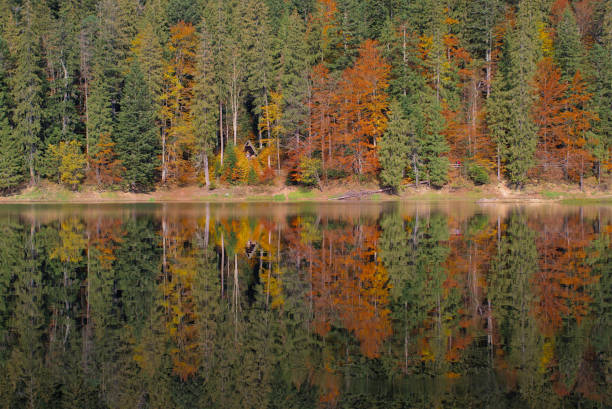 istock Picturesque lake in the autumn forest. 1326484807