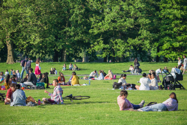 menschen, die ein picknick machen und einen sonnigen tag im greenwich park, london genießen - heat haze fotos stock-fotos und bilder