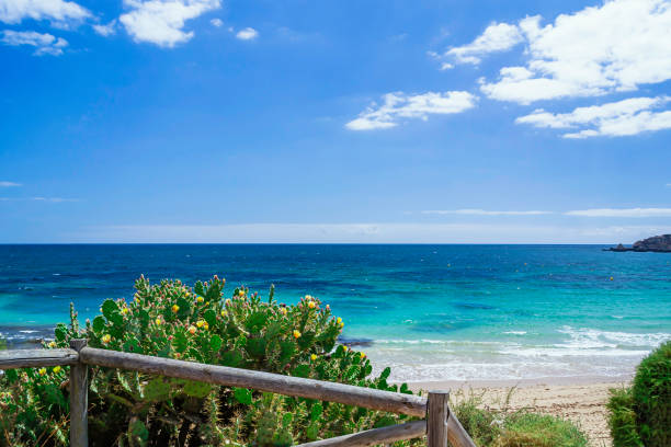 istock Thickets of cactus on the ocean coast 1326487033