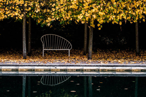 ロンドンの公園の黄色い木々の下のベンチ。 - battersea park ストックフォトと画像