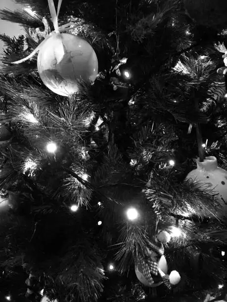 Photo of Monochrome Christmas decorations