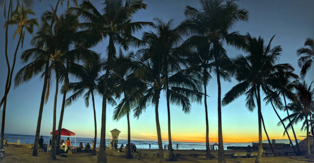 Waikiki - May 31, 2021: Row of Coconut trees and people watch dramatic dusk over the ocean on Kaimana Beach with Lifeguard tower 2H on Oahu, Hawaii.