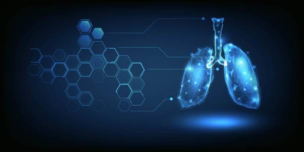 ilustracja wektorowa technologii telezdrowia. - human heart human lung healthcare and medicine doctor stock illustrations