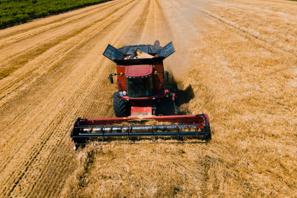 istock drone shot over Combine working on wheat fields during harvesting. 1326498742