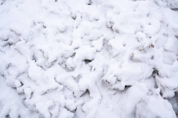 istock Thin snow at the beginning of winter 1326504257