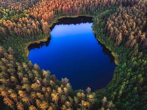 panoramic aerial view of a beautiful lakes in the forest