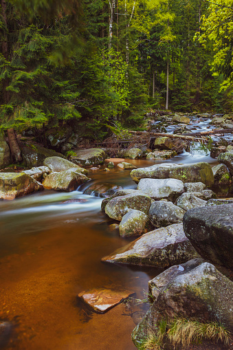 beautiful mountain stream in the Karkonosze (Krkonoše, Giant Mountains) mountains