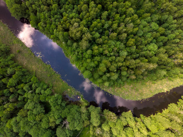 istock beautiful landscape with a small meandering river (aerial view) 1326506457