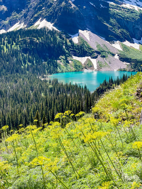 istock Montana Beauty 1326508050