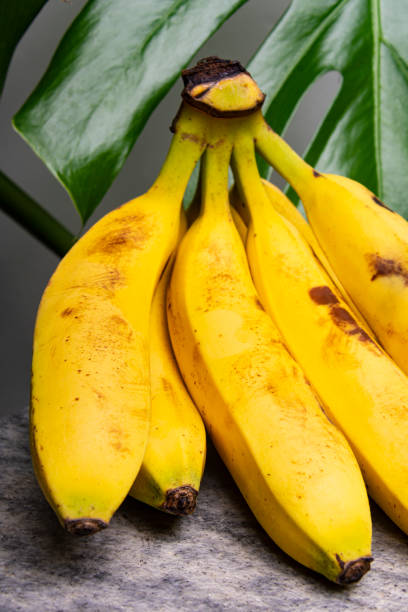 banane - banana leaf flash foto e immagini stock