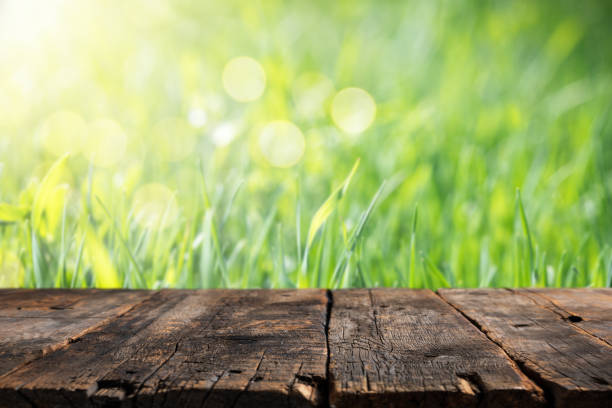 istock Empty rustic wooden table and defocused green grass at background. Backdrop for product display on top of the table. 1326517916
