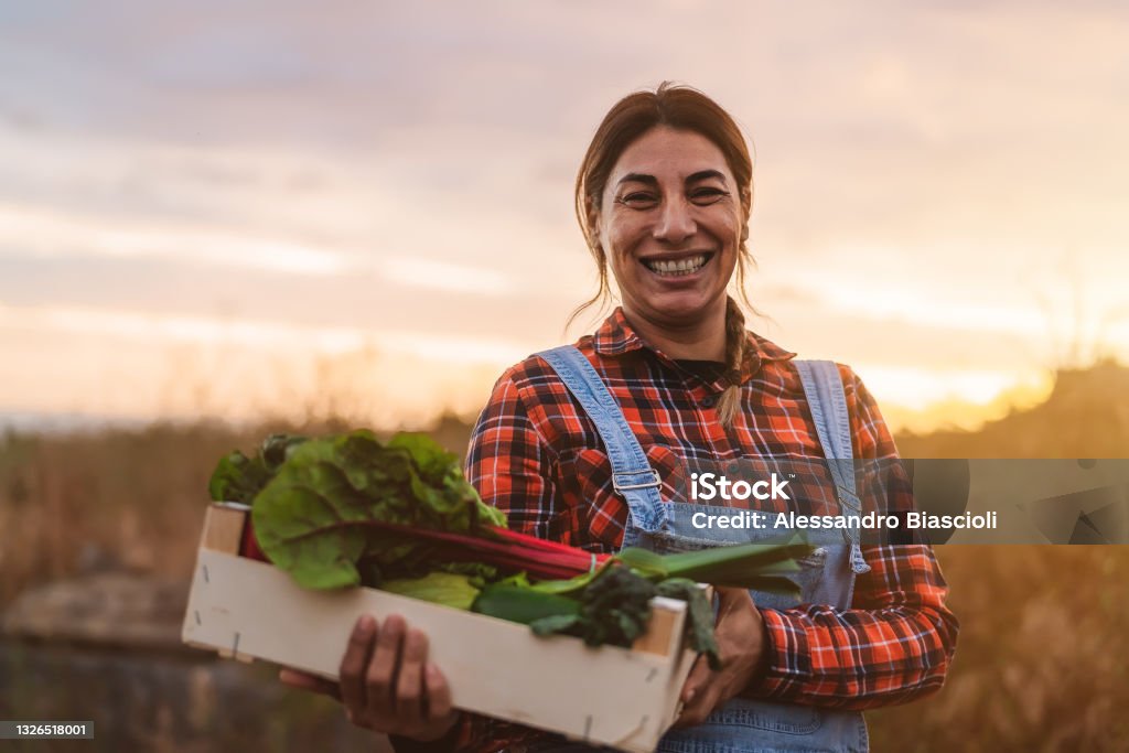 Happy female farmer holding a wood box containing fresh vegetables Agriculture Stock Photo