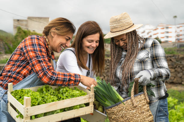 新鮮な野菜を含む木製のバスケットを持つ田舎で働く多民�族女性農家 - 農場の人々のライフスタイルの概念 - vegies vegetable basket residential structure ストックフォトと画像