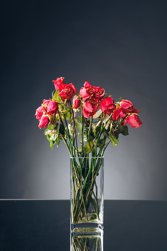 bouquet of dried pink roses in a vase, dark background