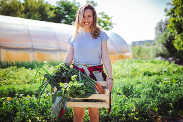 istock Know where your food comes from 1326528617