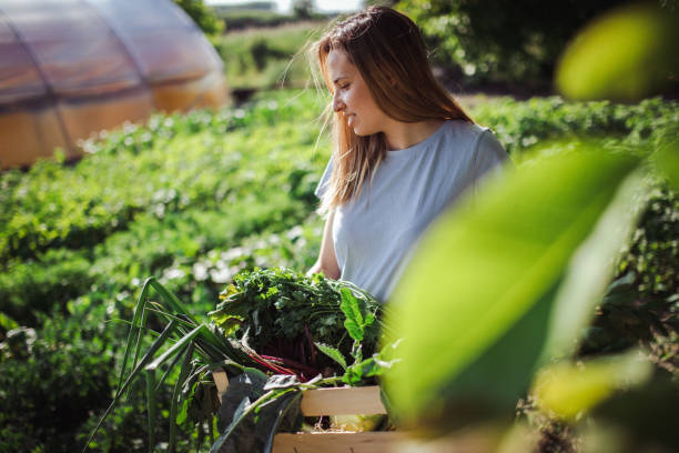 istock Grow, harvest, enjoy 1326528624