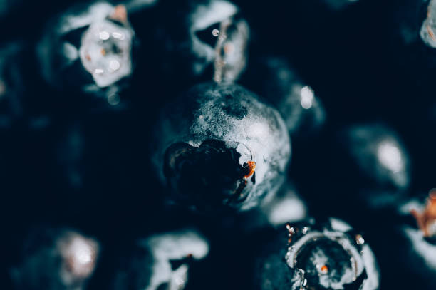 Macro of Fresh blueberries