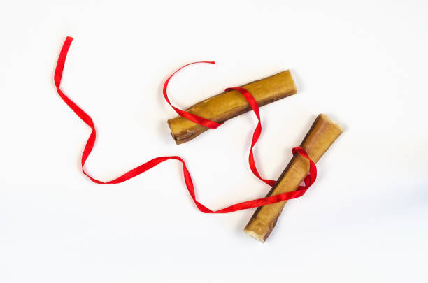 istock Two Dog treats and red ribbon on white. Bully sticks. Beef pizzle. . 1326530777