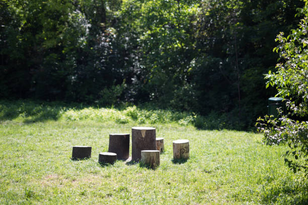 istock Tree stumps, Indian village in Krakow in Poland 1326536839