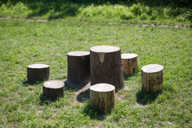 istock Tree stumps, Indian village in Krakow in Poland 1326537356
