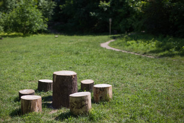 istock Tree stumps, Indian village in Krakow in Poland 1326537363