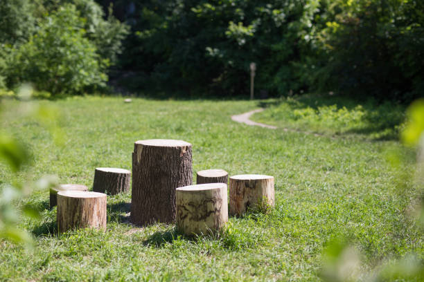 Tree stumps, Indian village in Krakow in Poland