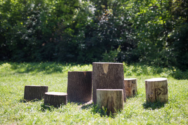 Tree stumps, Indian village in Krakow in Poland