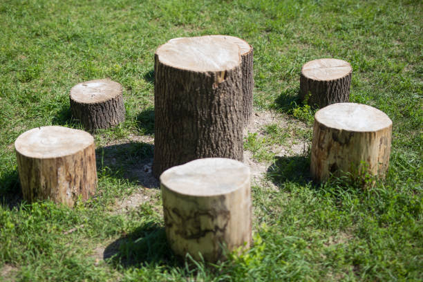 istock Tree stumps, Indian village in Krakow in Poland 1326537401