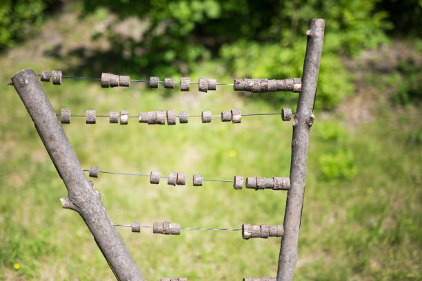 istock Tree stumps, Indian village in Krakow in Poland 1326537451