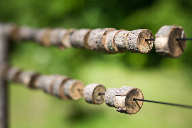 istock Tree stumps, Indian village in Krakow in Poland 1326537494