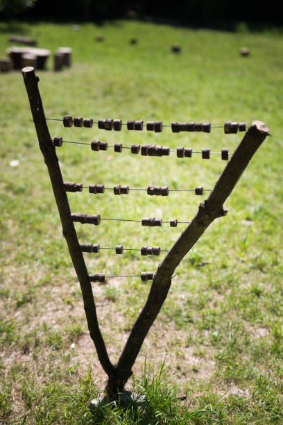 istock Tree stumps, Indian village in Krakow in Poland 1326537520